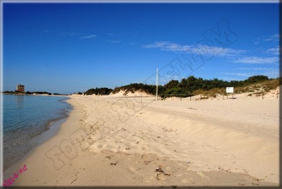 SPIAGGIA DI PORTO CESAREO