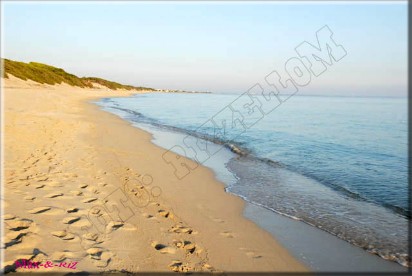 SPIAGGIA DI PORTO CESAREO